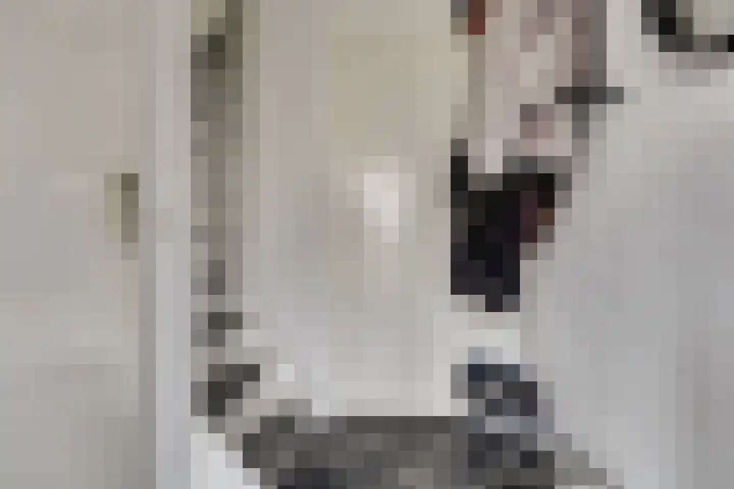 Malrovedonk 6 Spijkenisse thumbnail 17