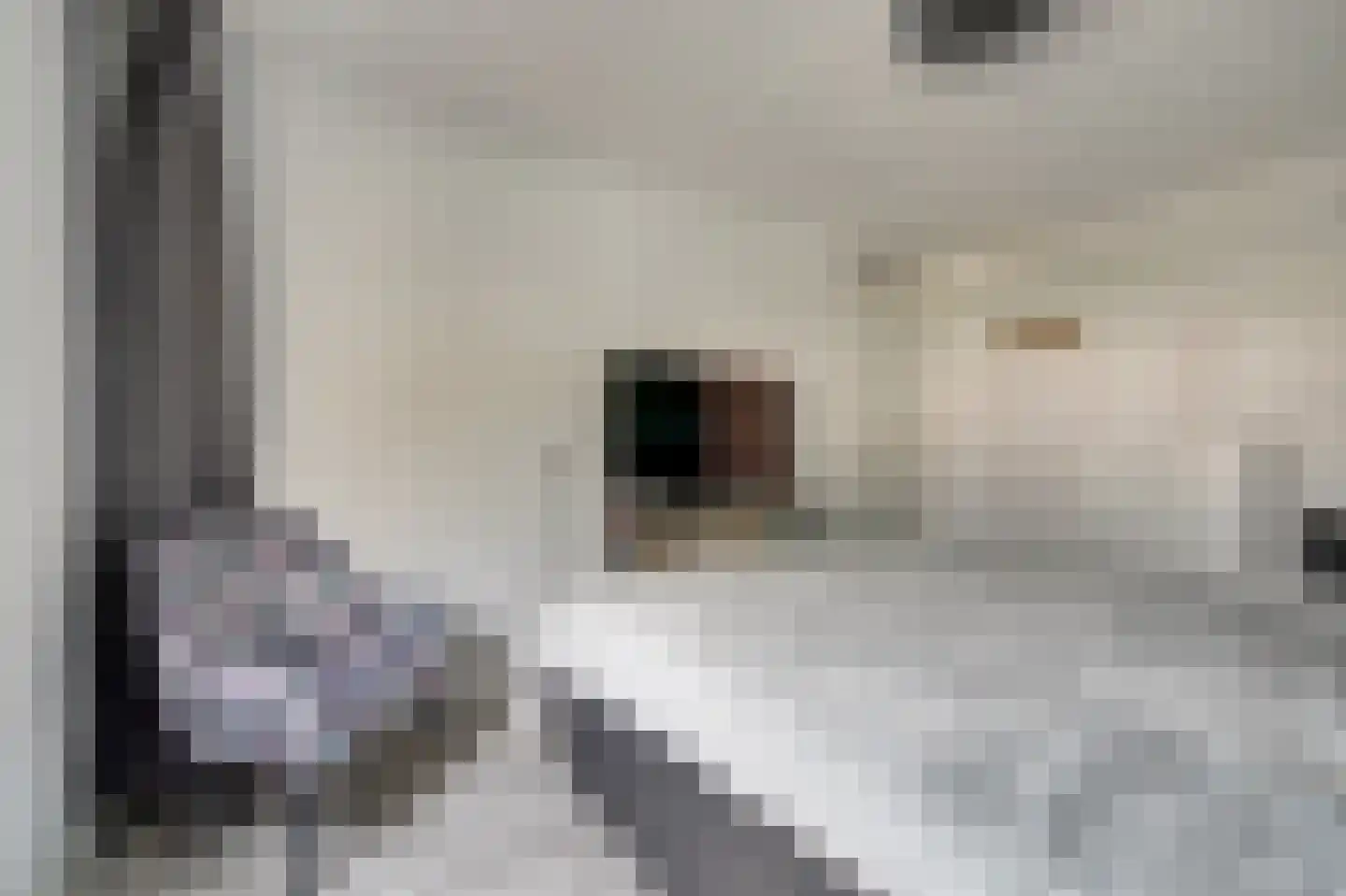 Malrovedonk 6 Spijkenisse thumbnail 21