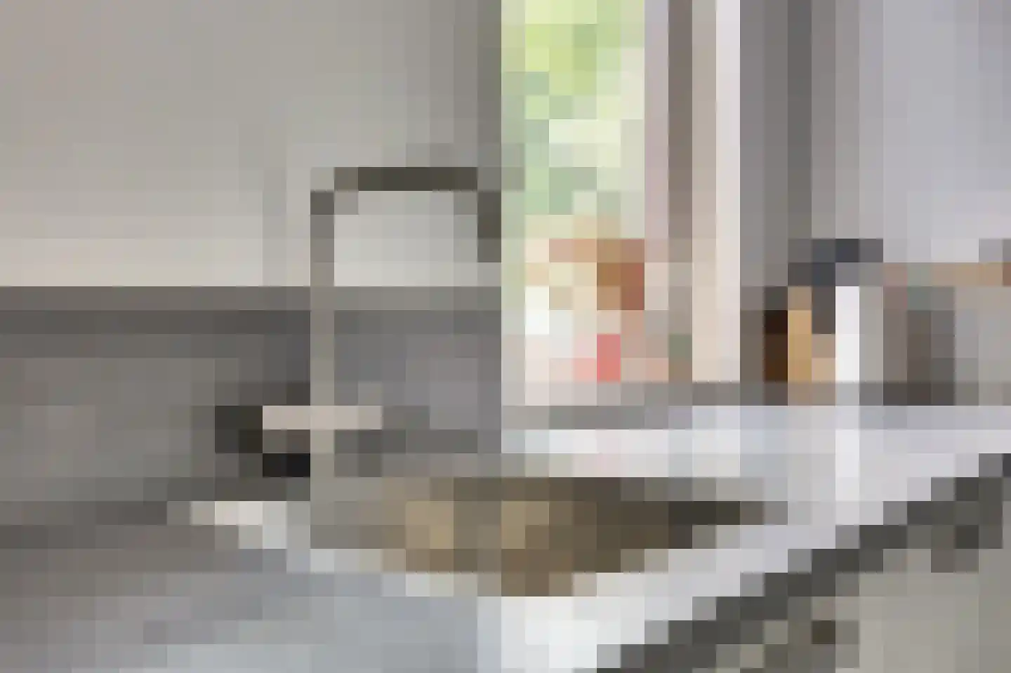 Malrovedonk 6 Spijkenisse thumbnail 4