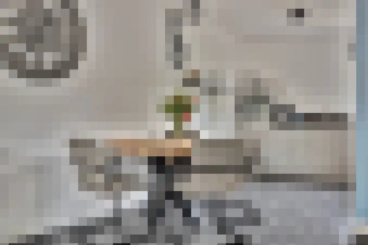 Malrovedonk 6 Spijkenisse thumbnail 5
