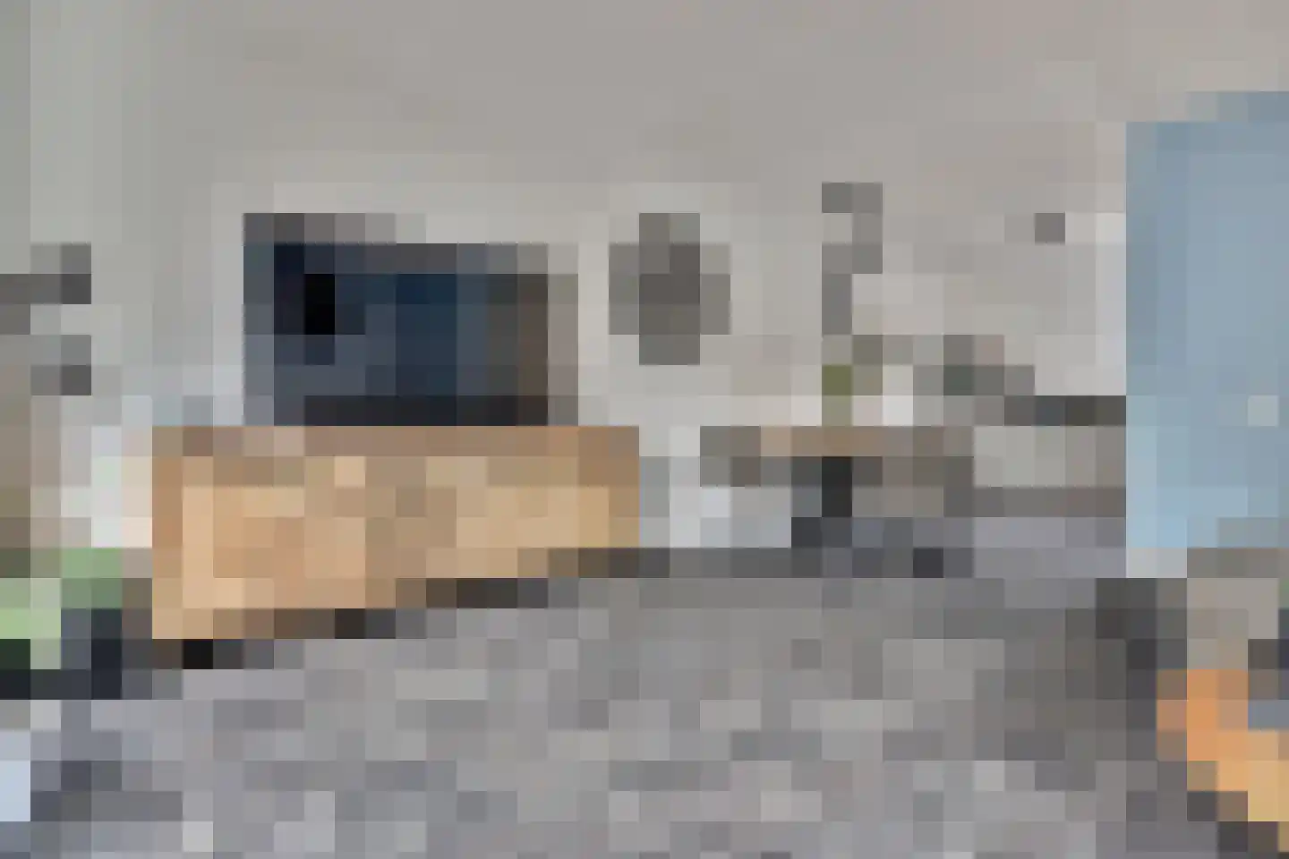 Malrovedonk 6 Spijkenisse thumbnail 9