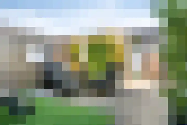 Malrovestraat 34 's-Hertogenbosch thumbnail 26