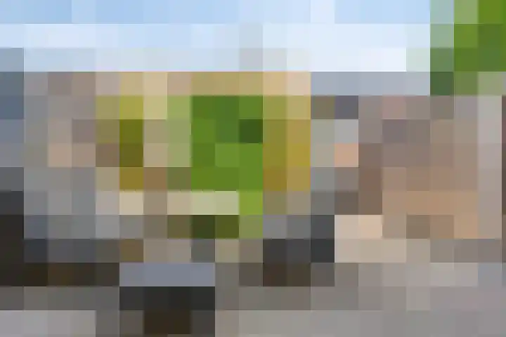 Malrovestraat 34 's-Hertogenbosch thumbnail 27