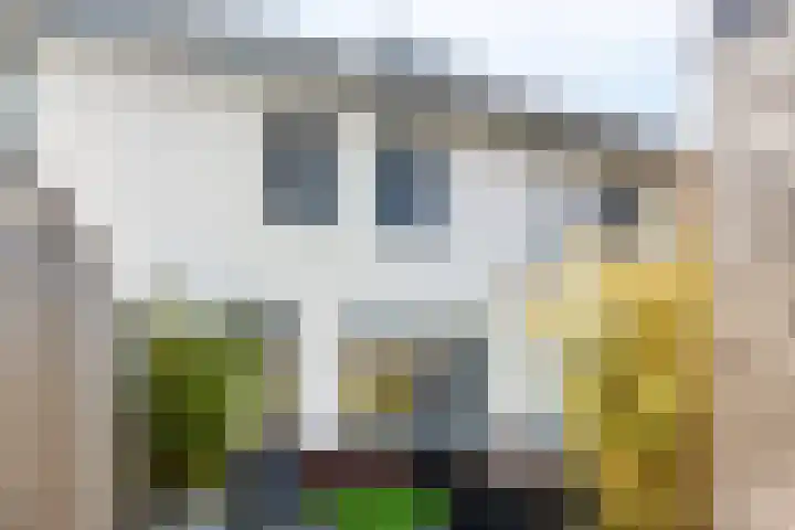 Malrovestraat 34 's-Hertogenbosch thumbnail 28
