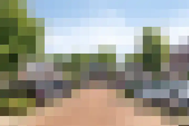 Malrovestraat 34 's-Hertogenbosch thumbnail 31