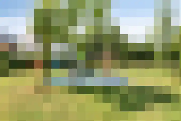 Malrovestraat 34 's-Hertogenbosch thumbnail 32