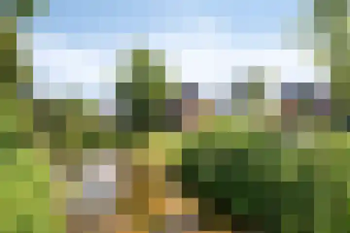 Malrovestraat 34 's-Hertogenbosch thumbnail 33