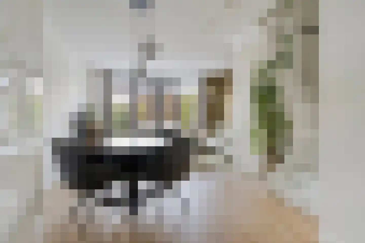 Malrovestraat 4 's-Hertogenbosch thumbnail 13