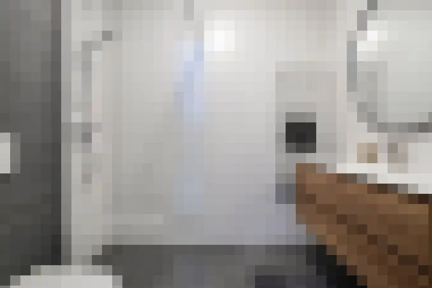 Malrovestraat 4 's-Hertogenbosch thumbnail 19