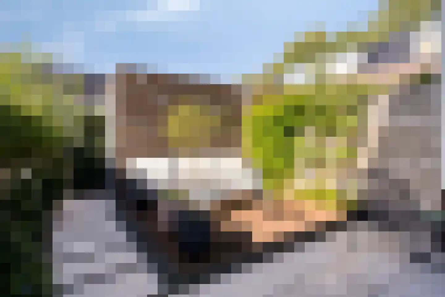 Malrovestraat 4 's-Hertogenbosch thumbnail 8