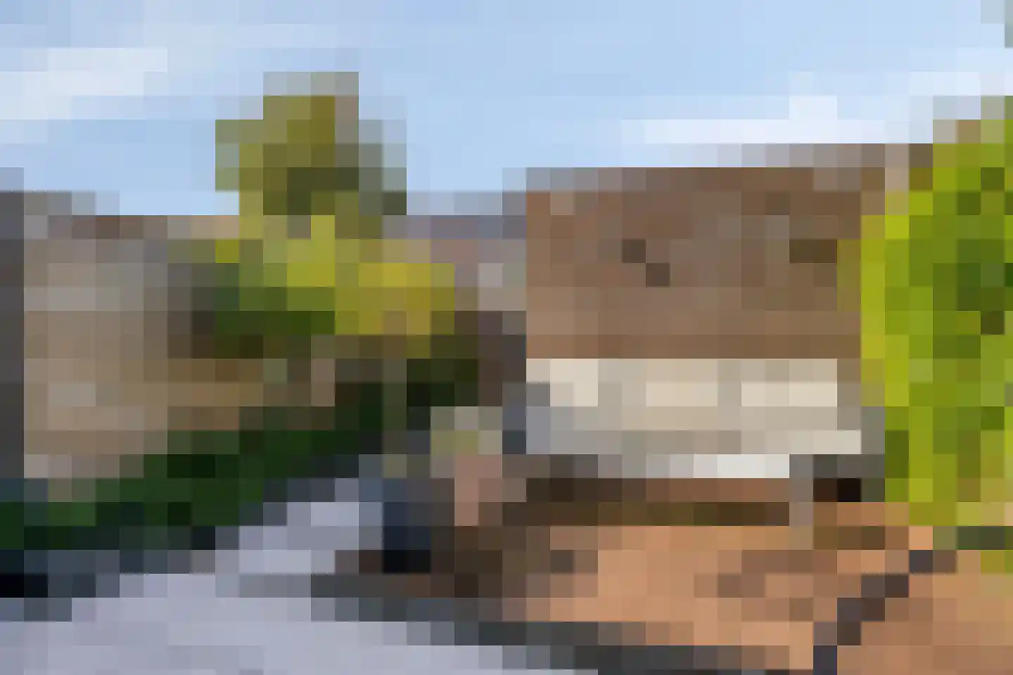 Malrovestraat 4 's-Hertogenbosch thumbnail 9