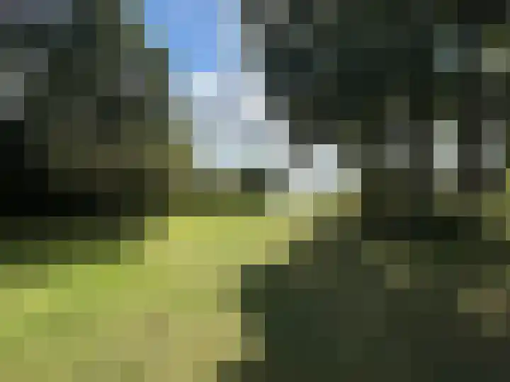 Malta 35 Sneek thumbnail 23