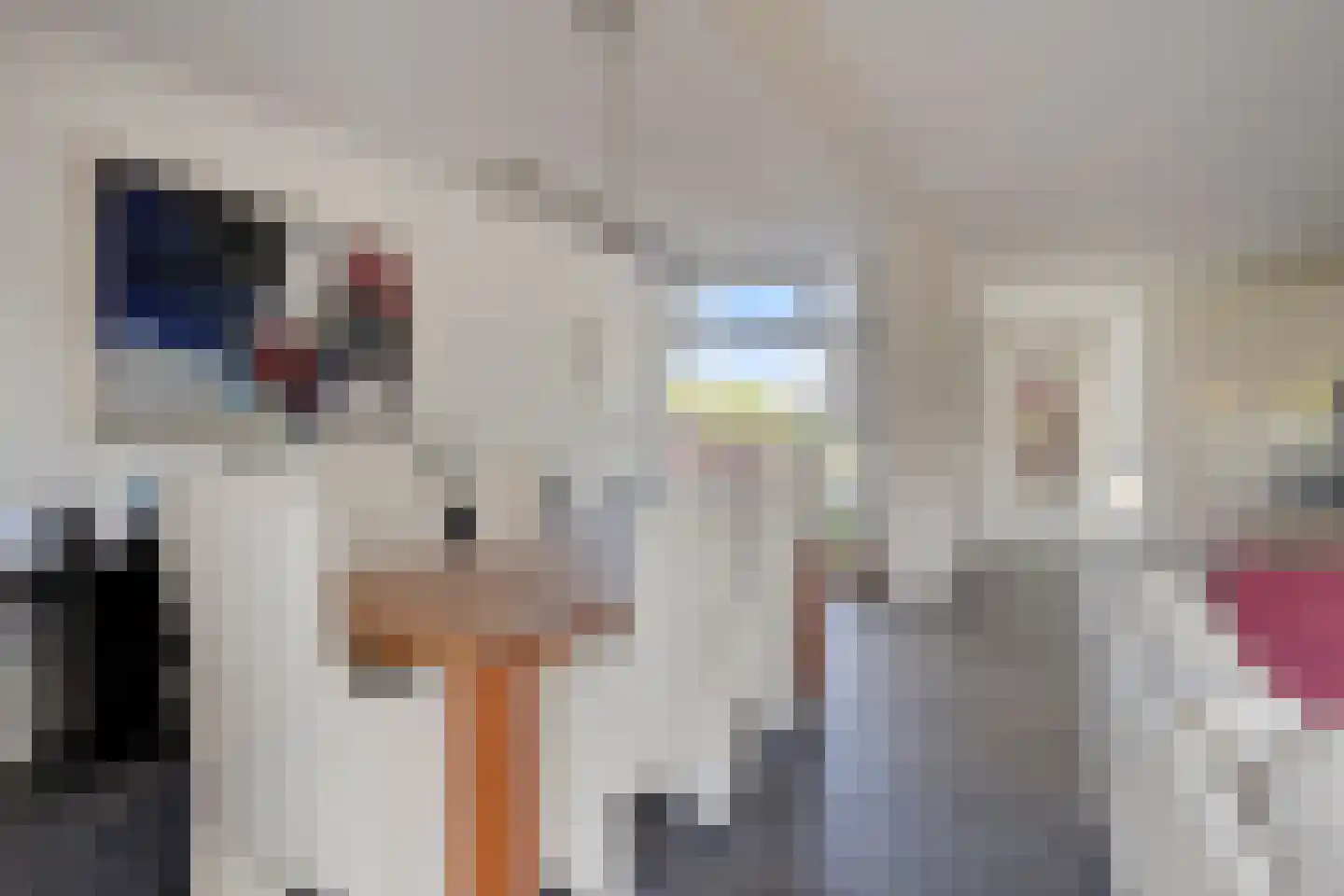 Malta 35 Zoetermeer thumbnail 12