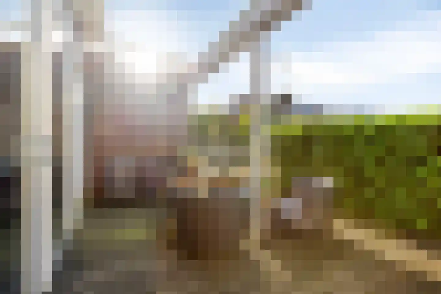 Malta 35 Zoetermeer thumbnail 35