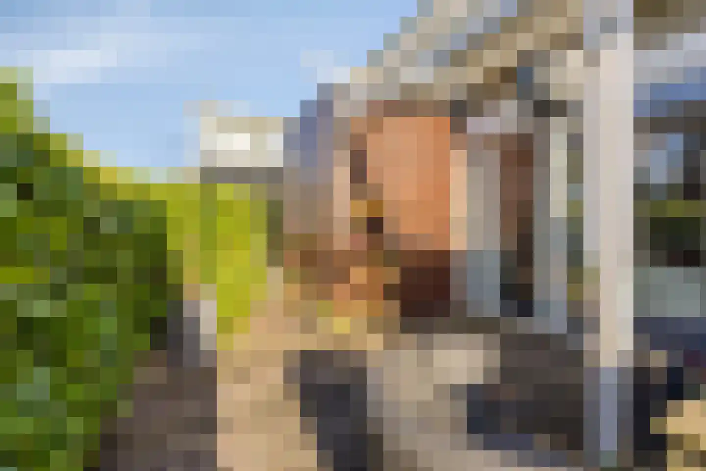 Malta 35 Zoetermeer thumbnail 36