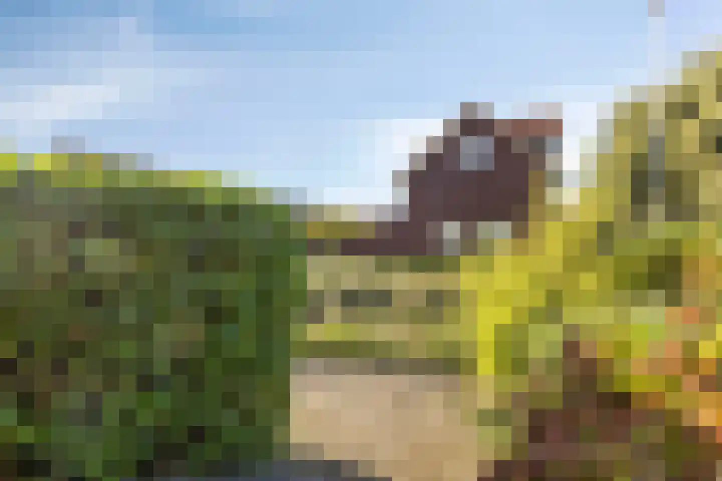 Malta 35 Zoetermeer thumbnail 37