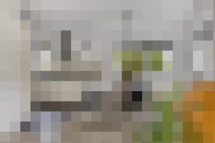Malta 36 Zoetermeer thumbnail 13