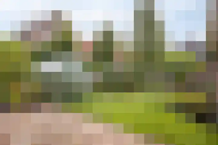Malta 36 Zoetermeer thumbnail 15