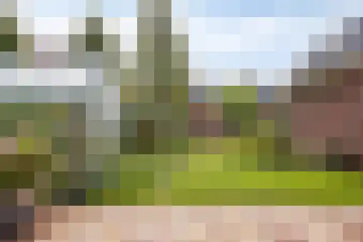 Malta 36 Zoetermeer thumbnail 16