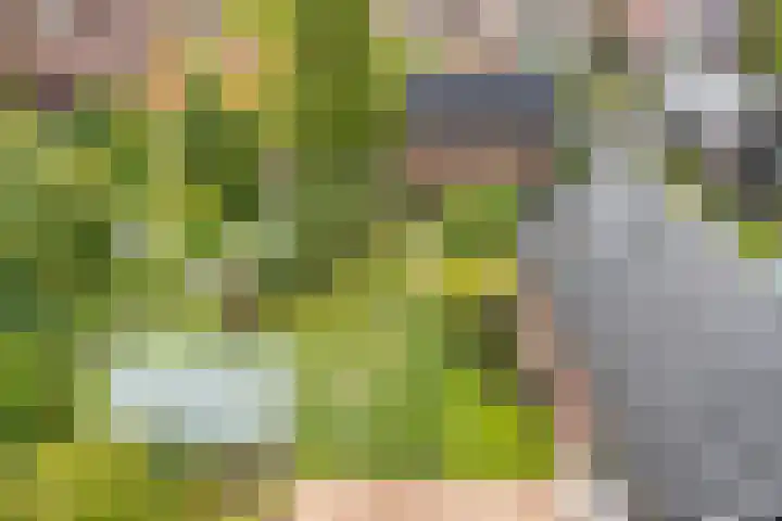 Malta 36 Zoetermeer thumbnail 18