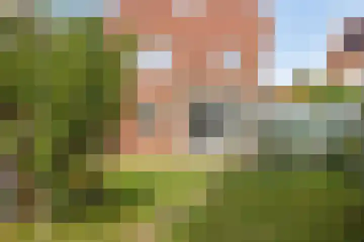 Malta 36 Zoetermeer thumbnail 19