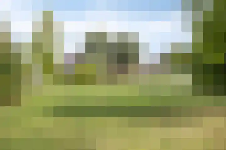 Malta 36 Zoetermeer thumbnail 38