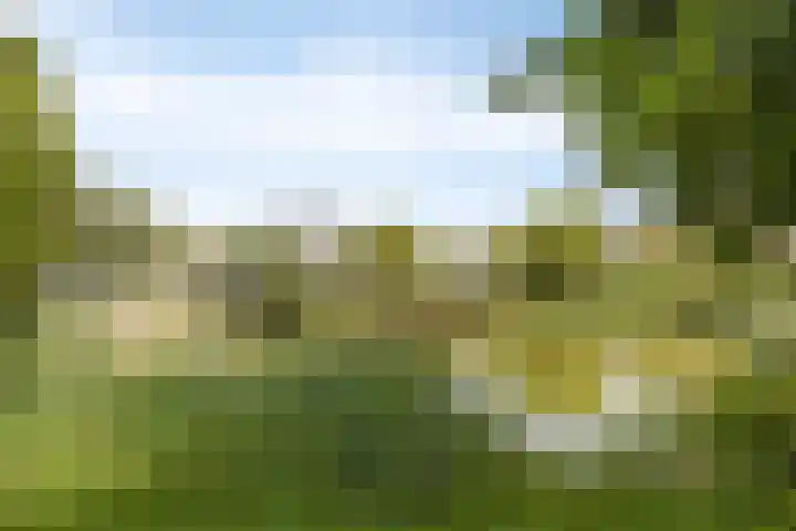 Malta 36 Zoetermeer thumbnail 39