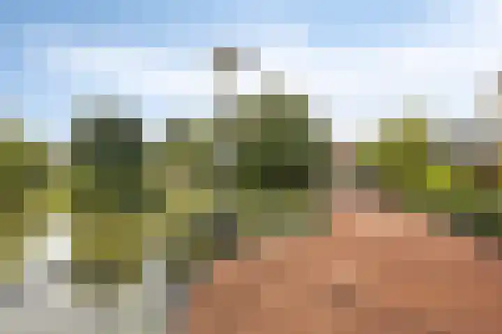 Malta 36 Zoetermeer thumbnail 40