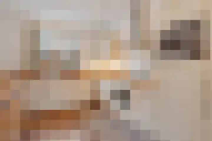 Malta 6 Zoetermeer thumbnail 19