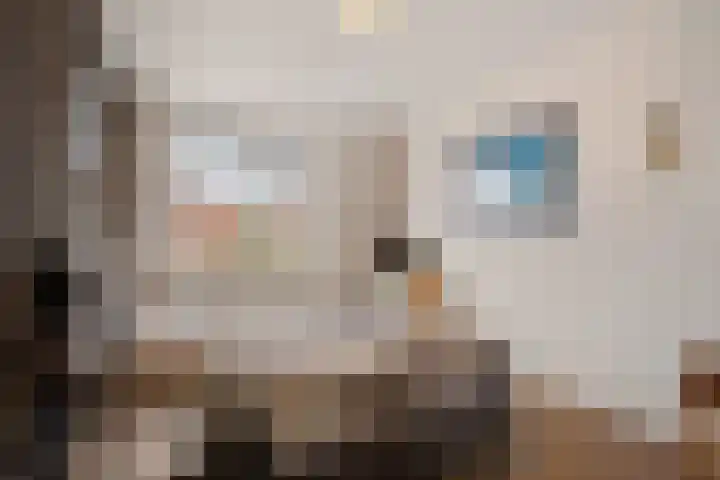 Malta 6 Zoetermeer thumbnail 31