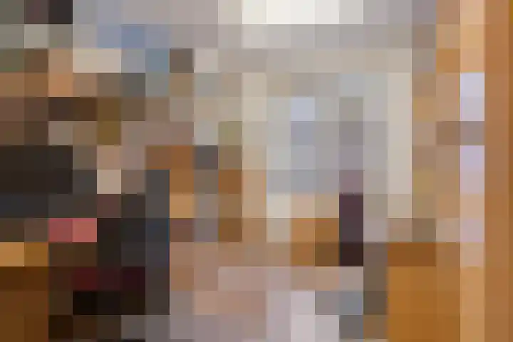 Malta 6 Zoetermeer thumbnail 35