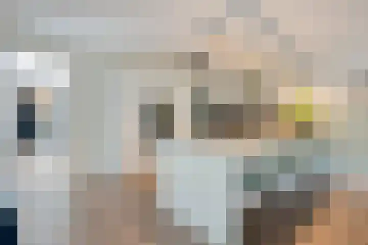 Malta 71 Zoetermeer thumbnail 11