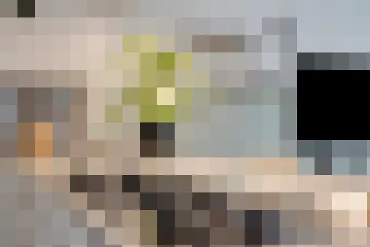 Malta 71 Zoetermeer thumbnail 13