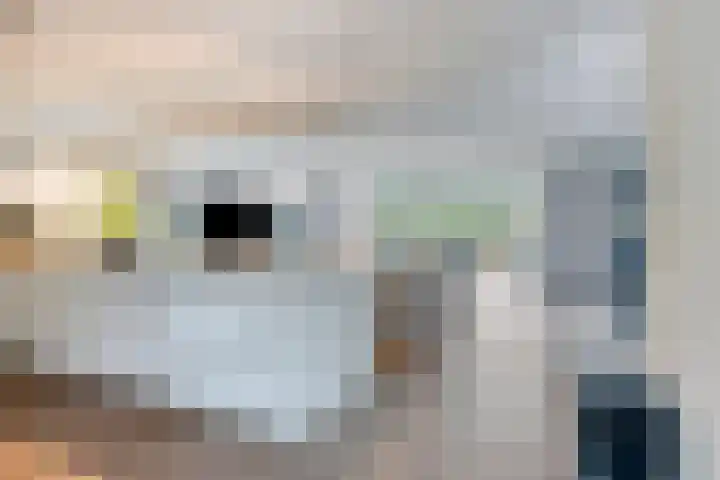 Malta 71 Zoetermeer thumbnail 15