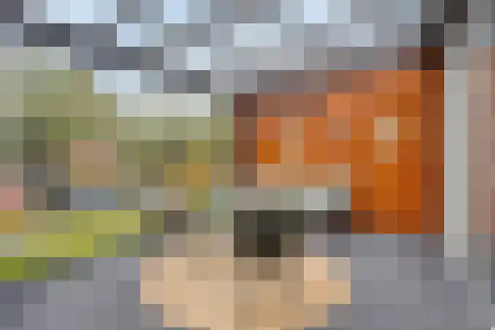 Malta 71 Zoetermeer thumbnail 17