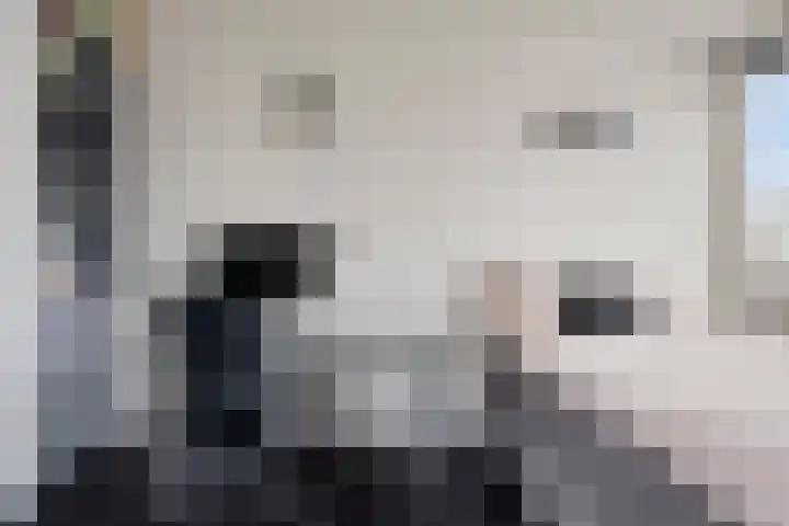 Malta 71 Zoetermeer thumbnail 28