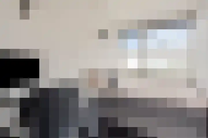 Malta 71 Zoetermeer thumbnail 29