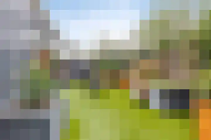 Malta 71 Zoetermeer thumbnail 37