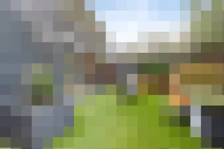 Malta 71 Zoetermeer thumbnail 38