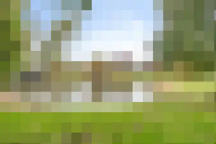 Malta 71 Zoetermeer thumbnail 39
