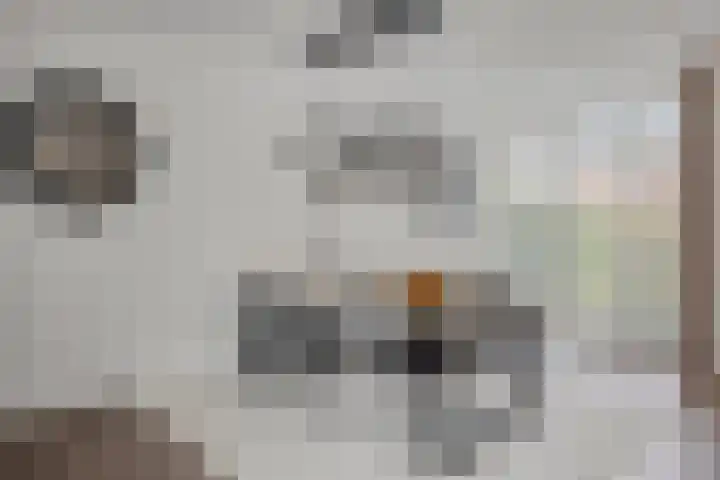 Malta 71 Zoetermeer thumbnail 9