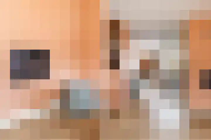 Maltakade 11 Woerden thumbnail 12