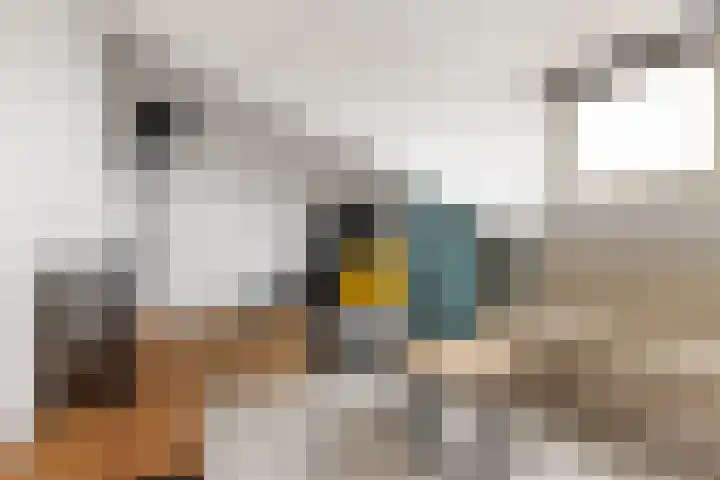 Maltakade 11 Woerden thumbnail 28