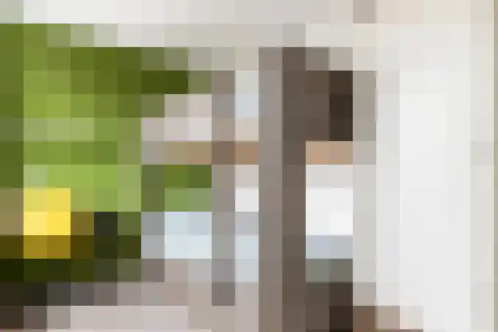 Maltakade 11 Woerden thumbnail 30
