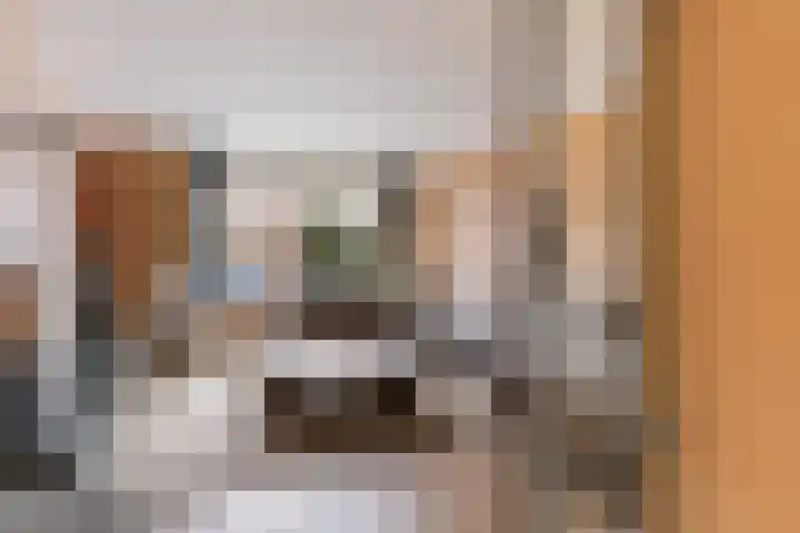 Maltakade 11 Woerden thumbnail 6