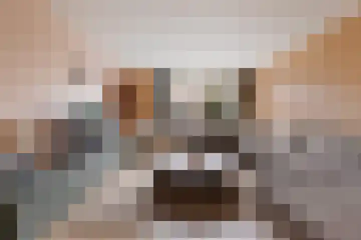 Maltakade 11 Woerden thumbnail 7
