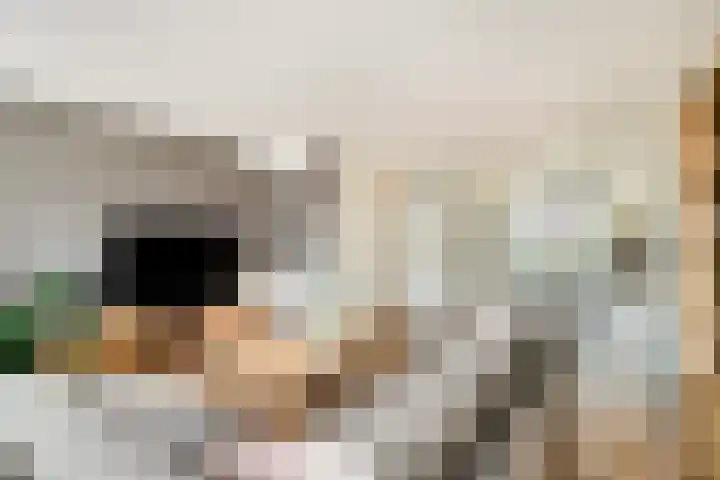 Maltaplein 39 Rotterdam thumbnail 12