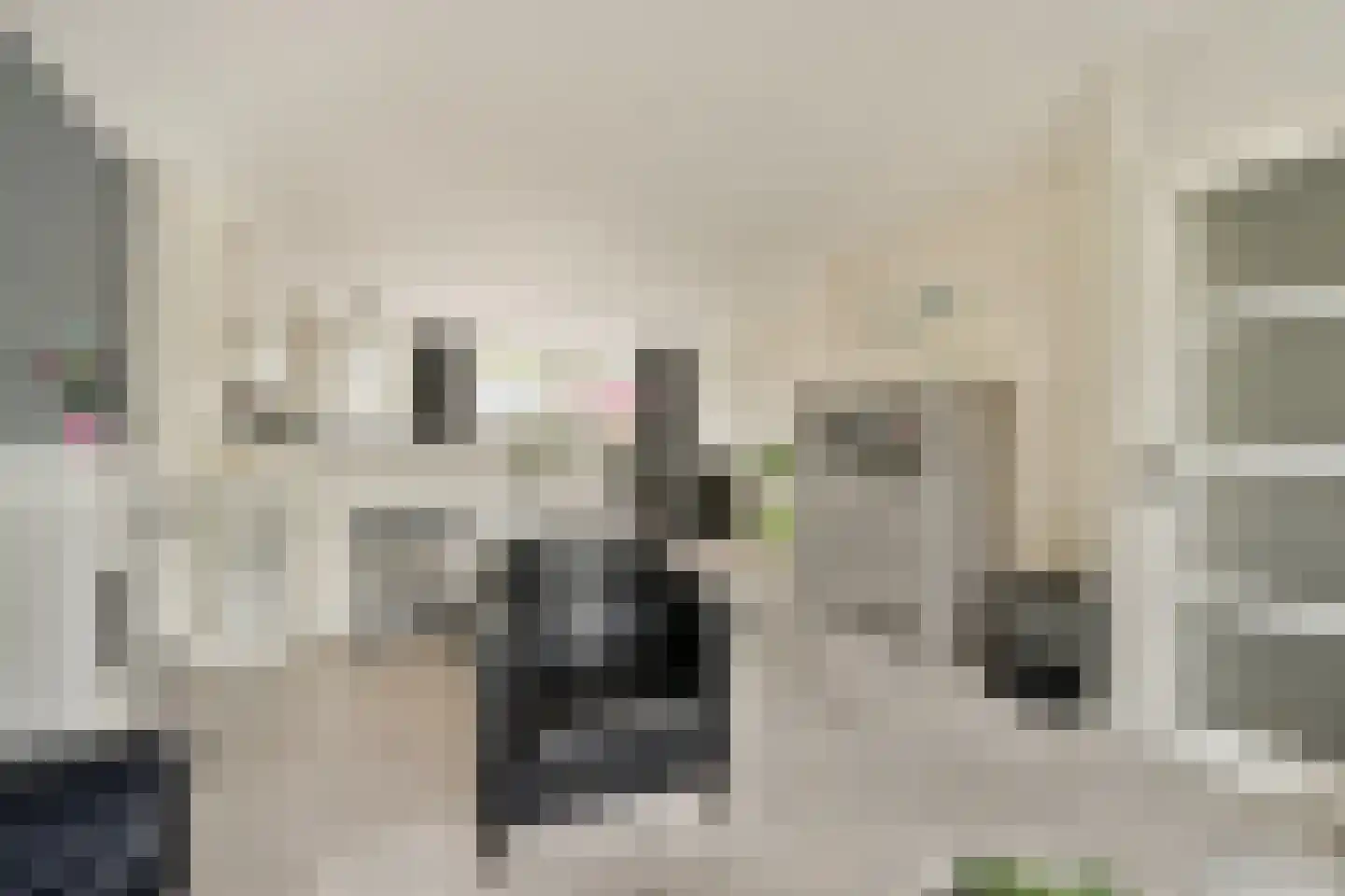 Malusdreef 1 Vlaardingen thumbnail 10