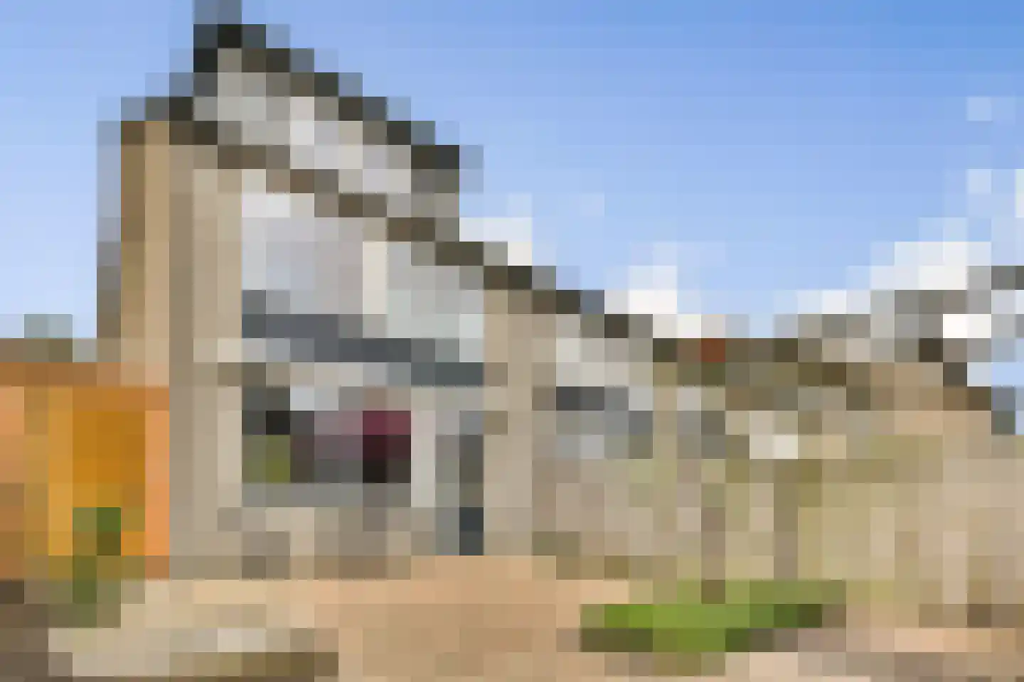 Malusdreef 1 Vlaardingen thumbnail 13