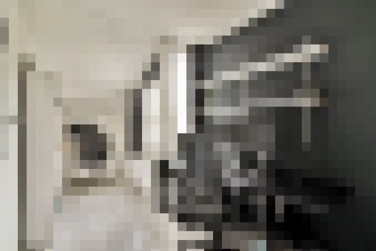 Malusdreef 1 Vlaardingen thumbnail 23